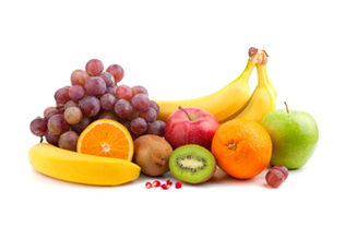 Élevage et production animale