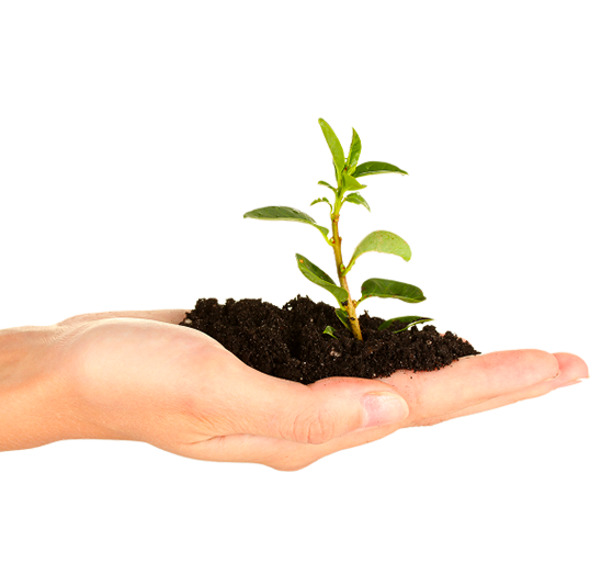 Exploitation agricole AGRO LACIAN